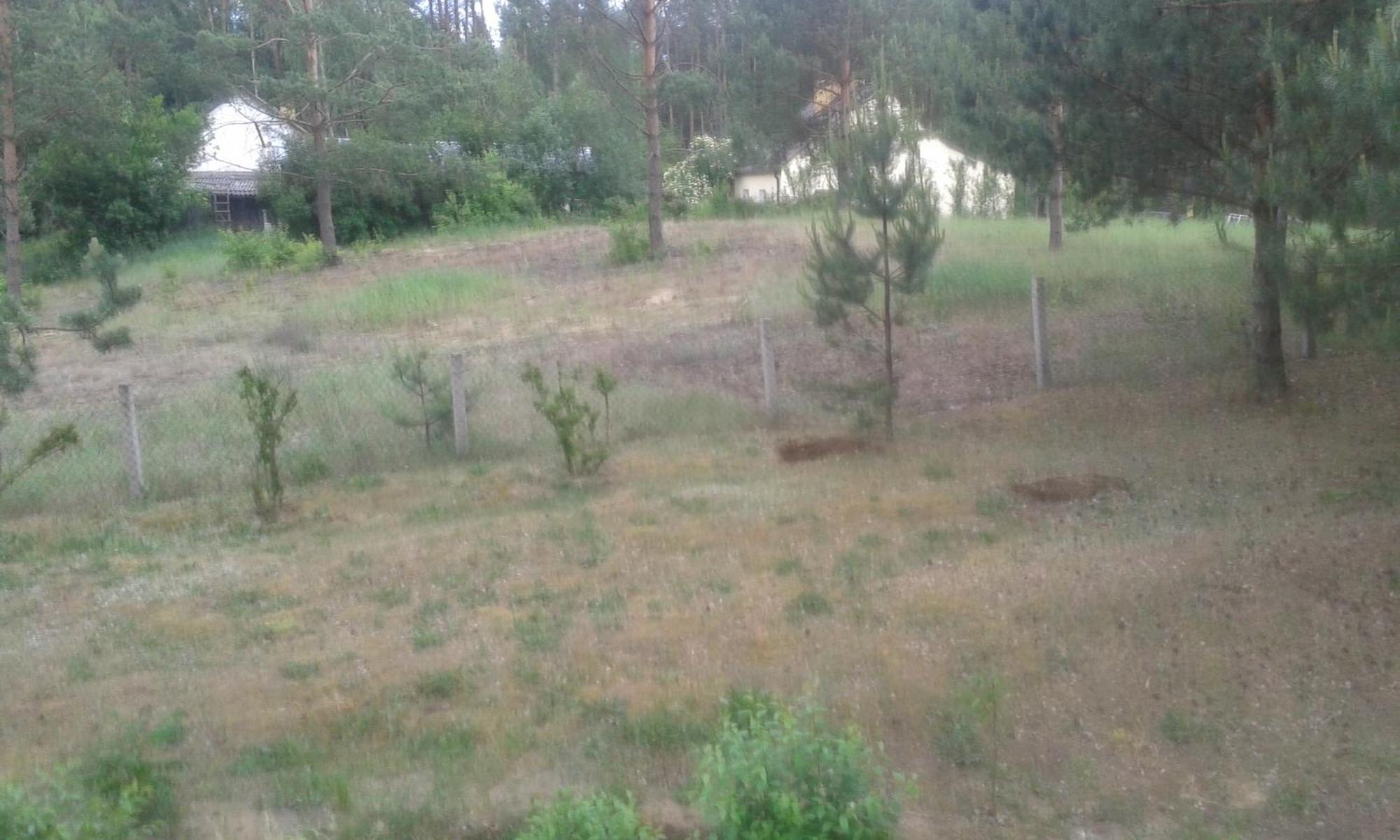 Domek Lesna Przystan Strekowizna Esterno foto