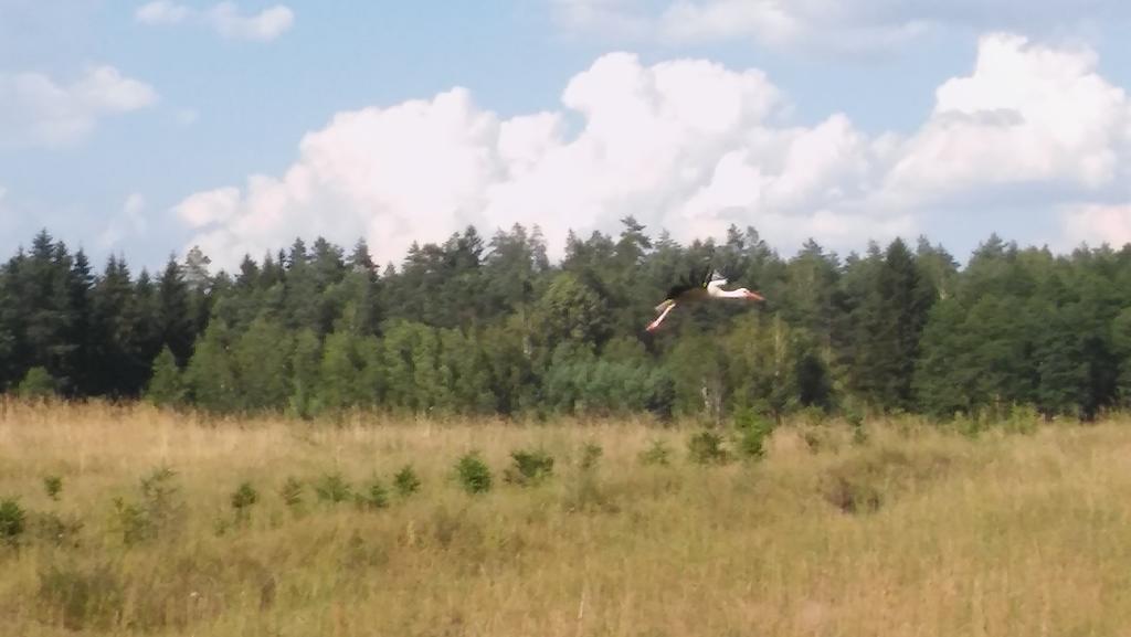Domek Lesna Przystan Strekowizna Esterno foto